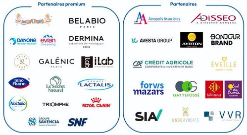 法式風情與商務機遇 第八屆進博會法國國家館引領浪漫與務實交融