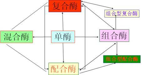 飼用酶制劑的產(chǎn)品現(xiàn)狀與技術開發(fā)路線升級——基于馮定遠教授BFC會議報告